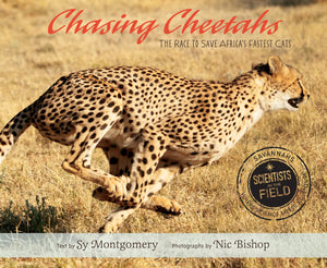 Chasing Cheetahs: The Race to Save Africa's Fastest Cat (Scientists in the Field Series),Used