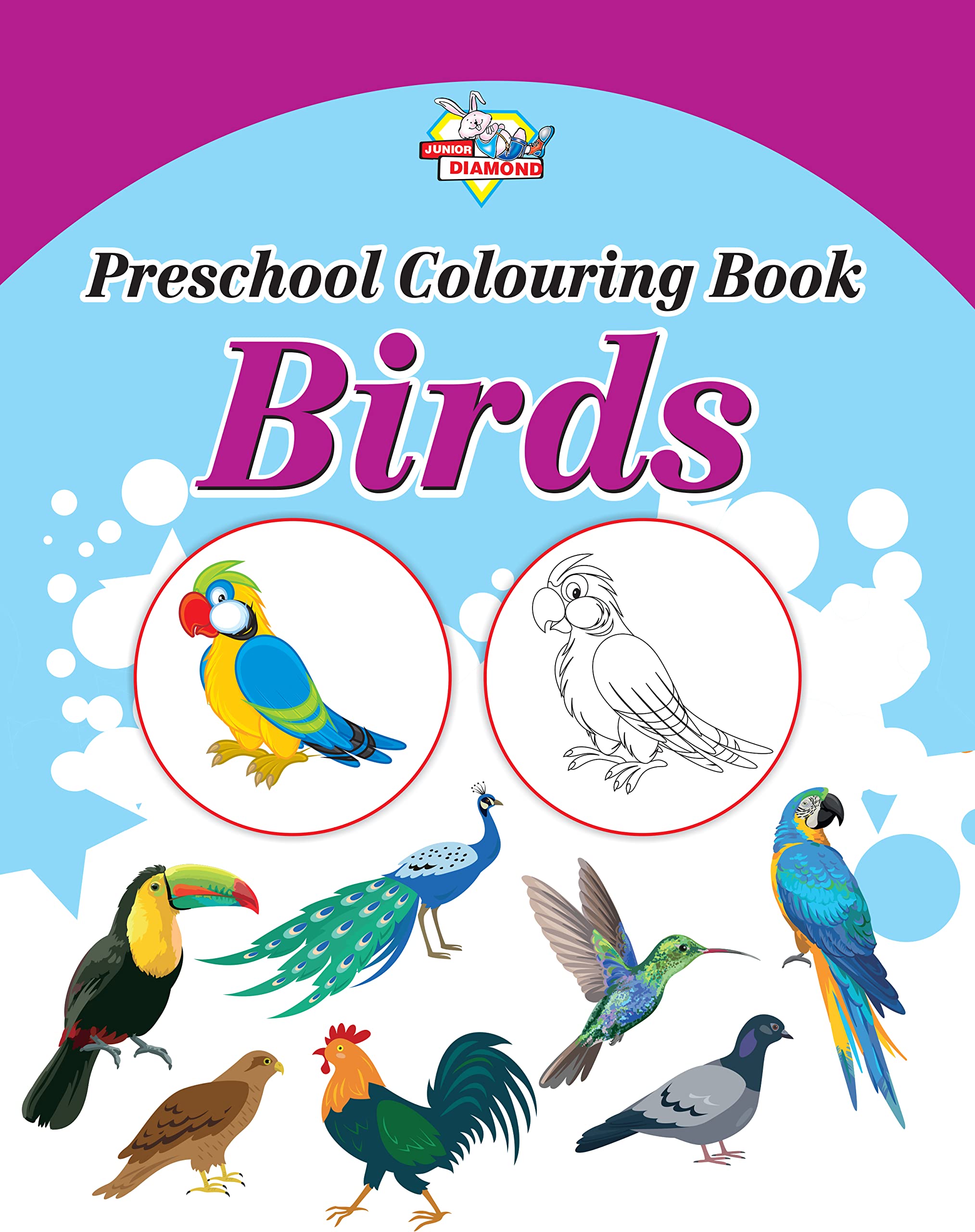 Preschool Colouring Book Birds Pb English