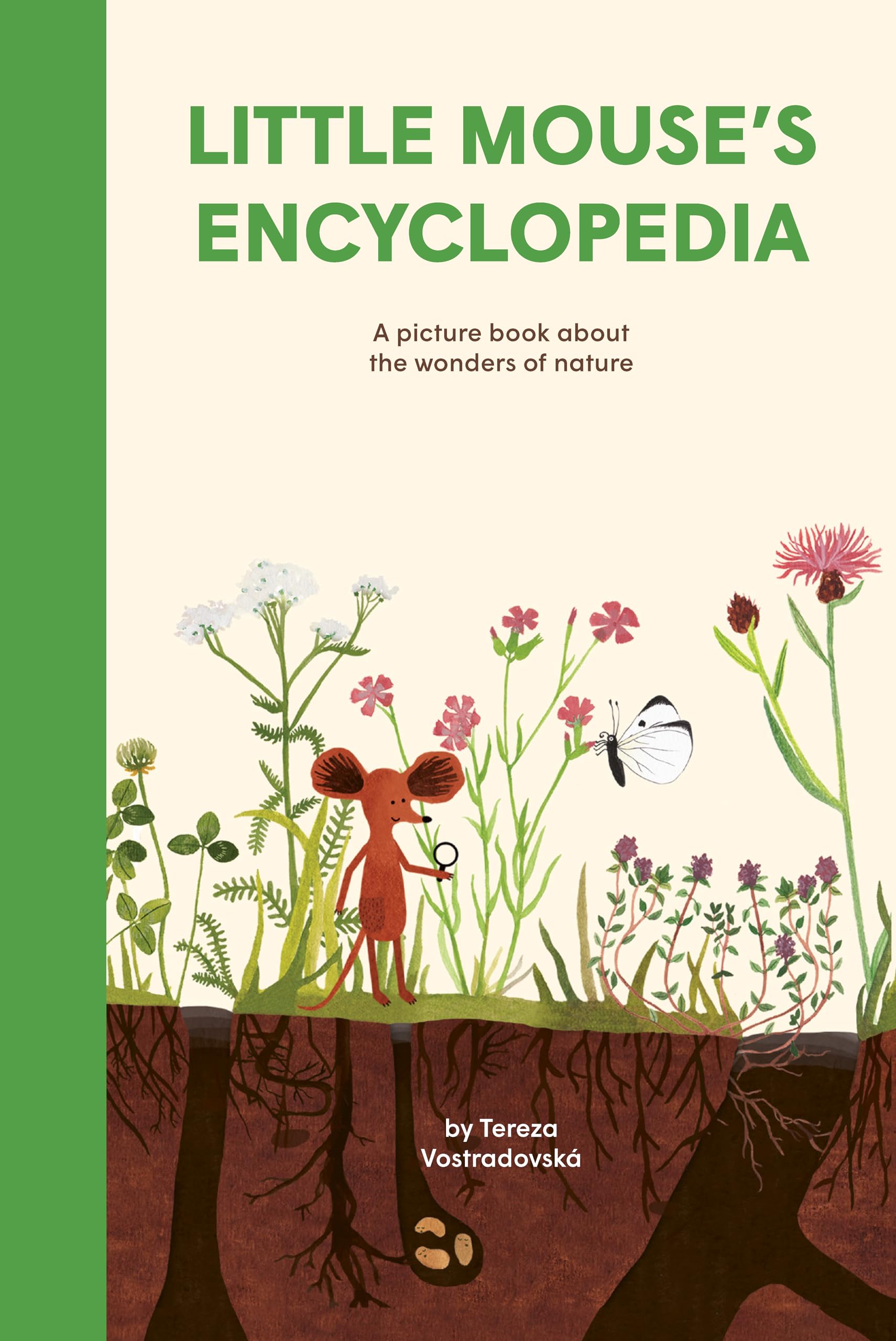 Little Mouse's Encyclopedia: A Picture Book about the Wonders of Nature,New