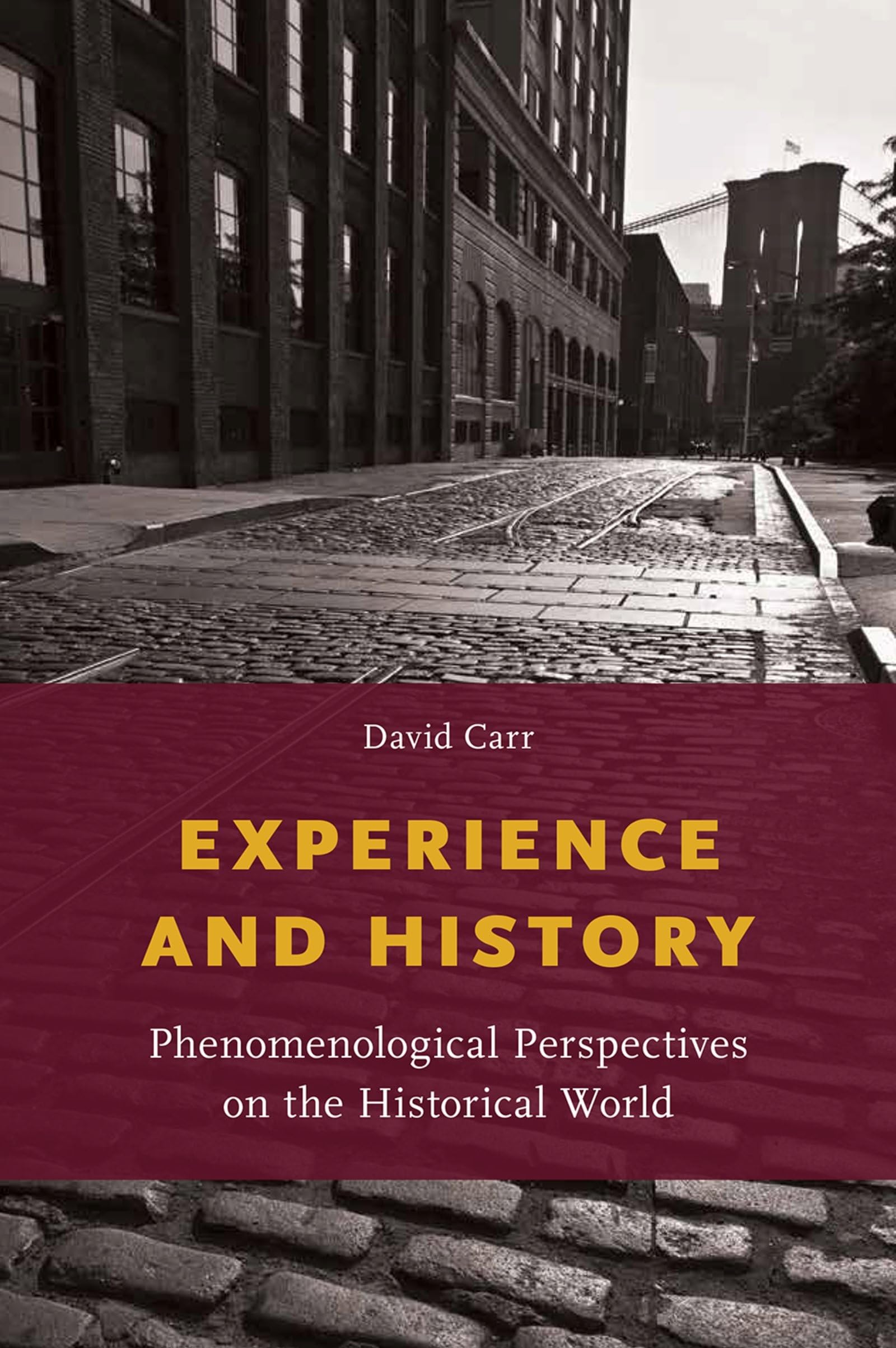 Experience and History: Phenomenological Perspectives on the Historical World,Used