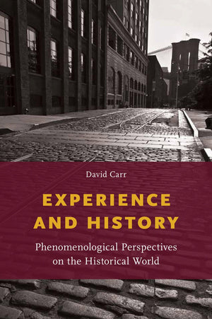 Experience and History: Phenomenological Perspectives on the Historical World,Used