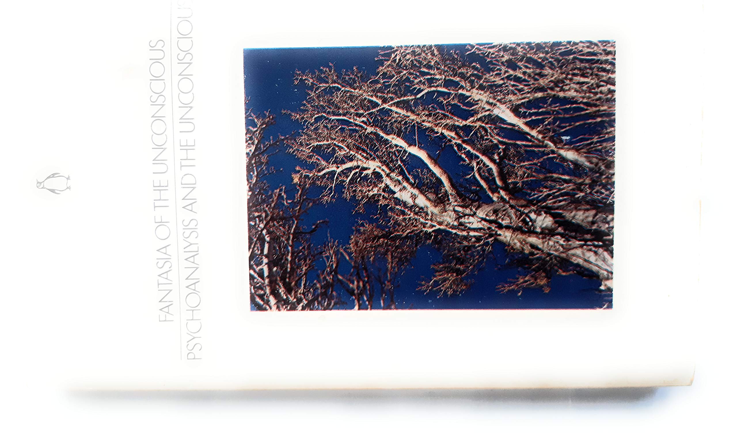 Fantasia of the Unconscious / Psychoanalysis and the Unconscious,Used