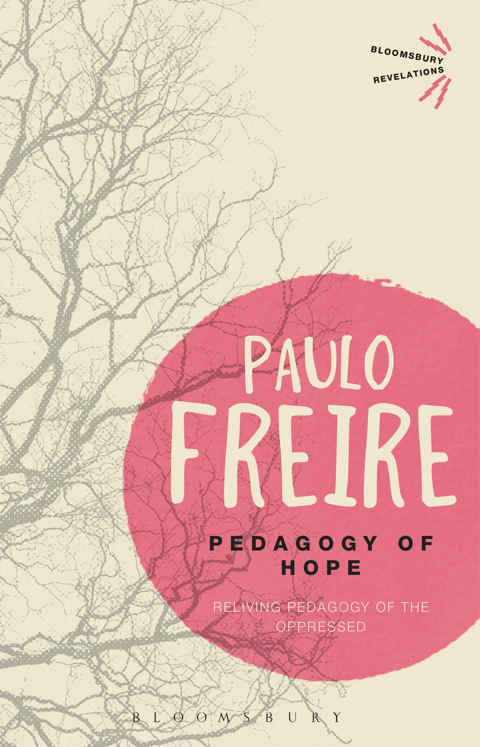 Pedagogy Of Hope: Reliving Pedagogy Of The Oppressed (Bloomsbury Revelations)