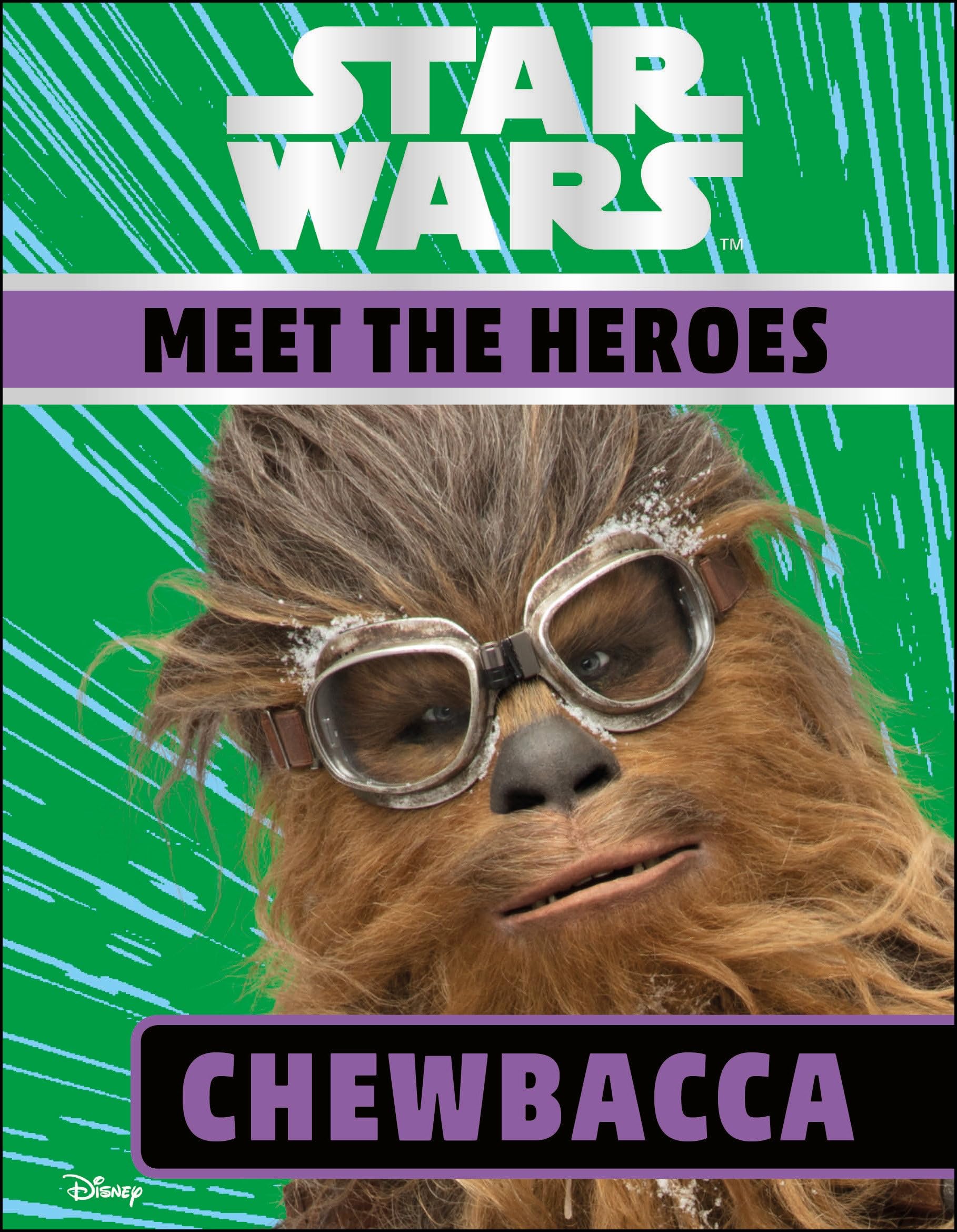 Star Wars Meet the Heroes Chewbacca,Used