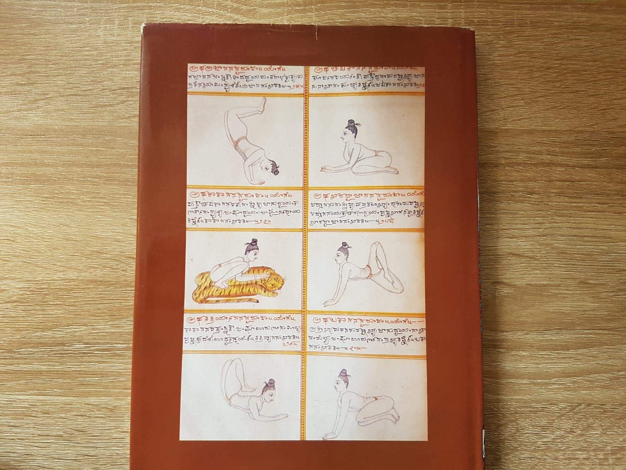 The Yoga Tradition of the Mysore Palace,Used