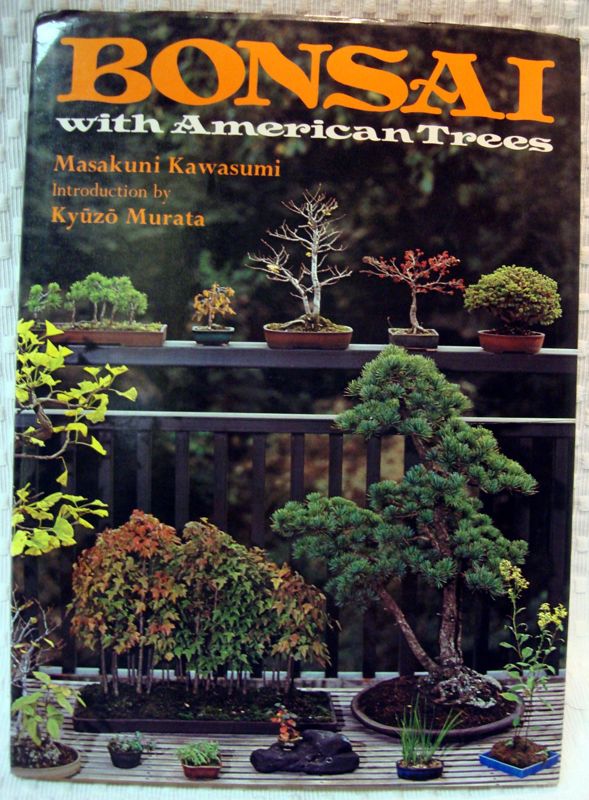 Bonsai With American Trees,New