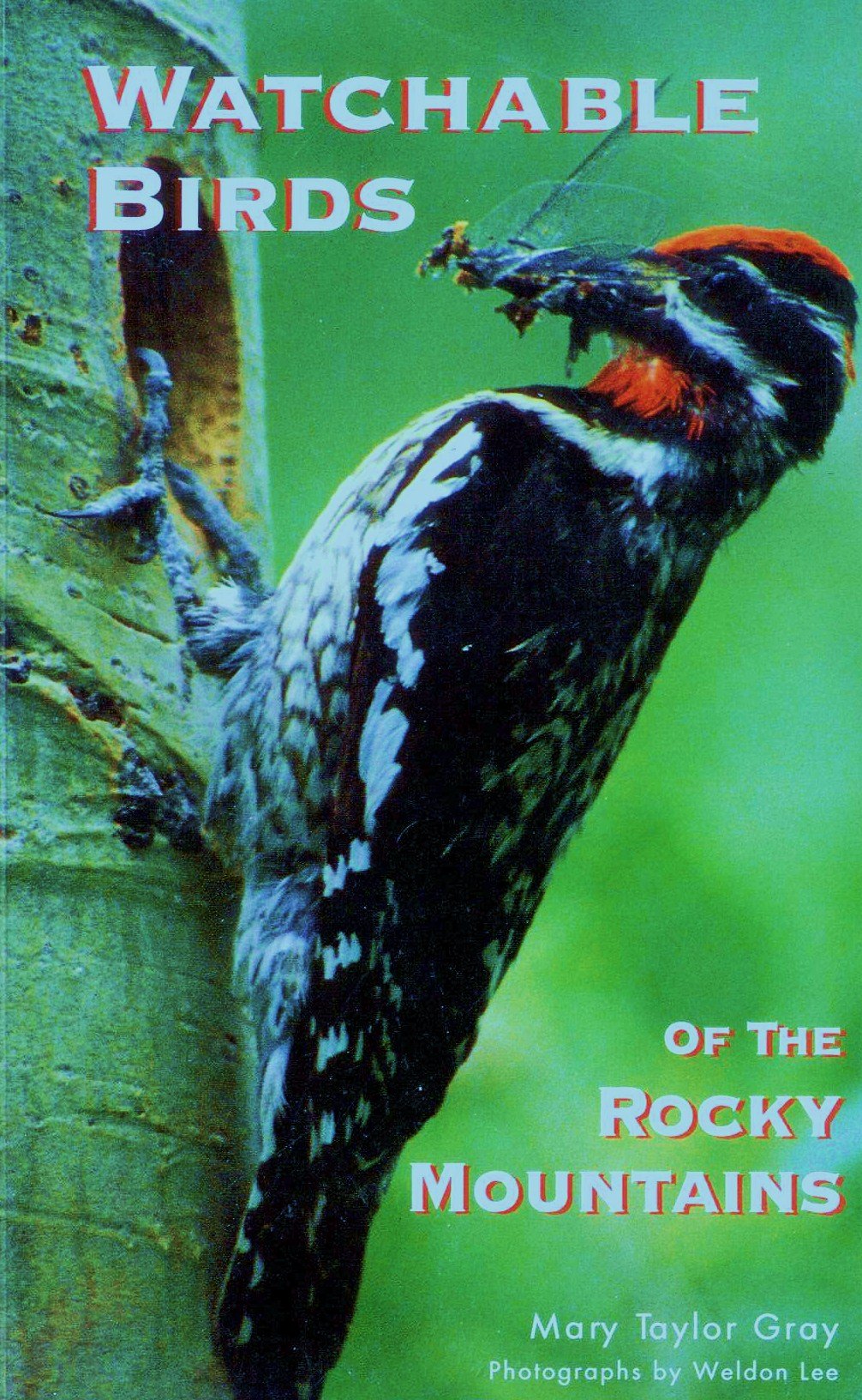 Watchable Birds of the Rocky Mountains,New