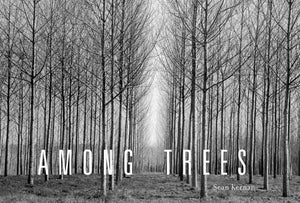 Among Trees,Used