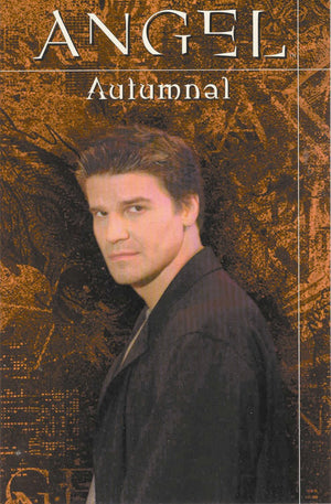Angel: Autumnal,Used