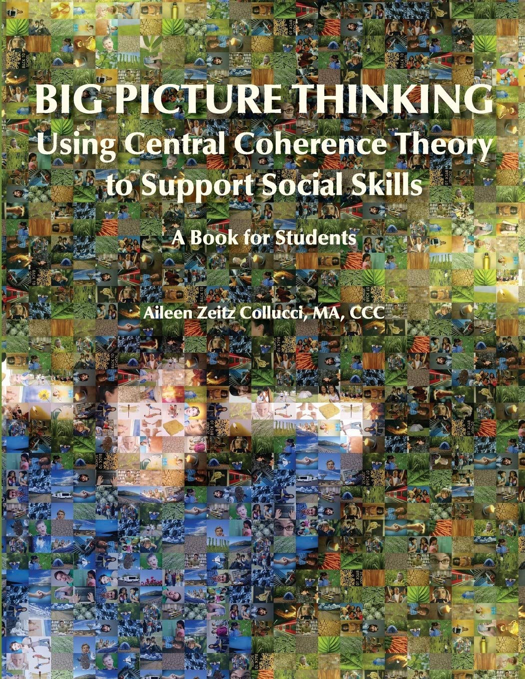 Big Picture Thinking: Using Central Coherence Theory to Support Social Skills: A Book for Students,Used