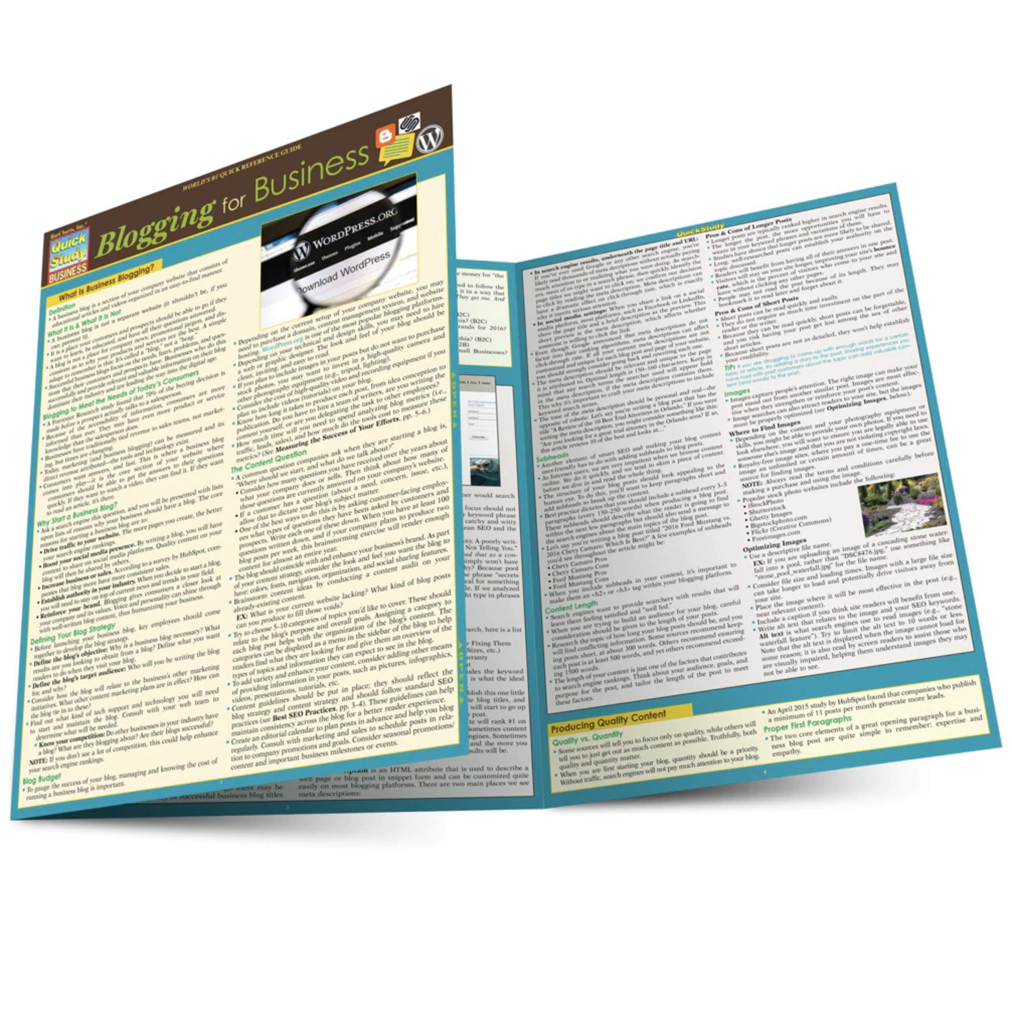 Blogging For Business (Quick Study Business),Used
