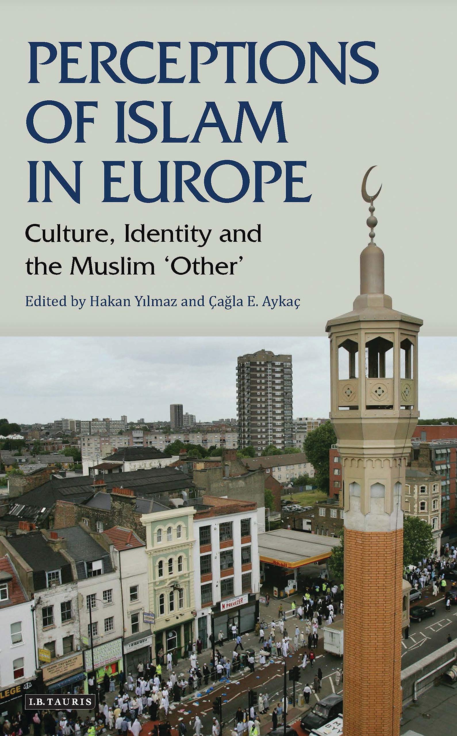 Perceptions Of Islam In Europe: Culture, Identity And The Muslim 'Other' (Library Of Modern Religion),Used