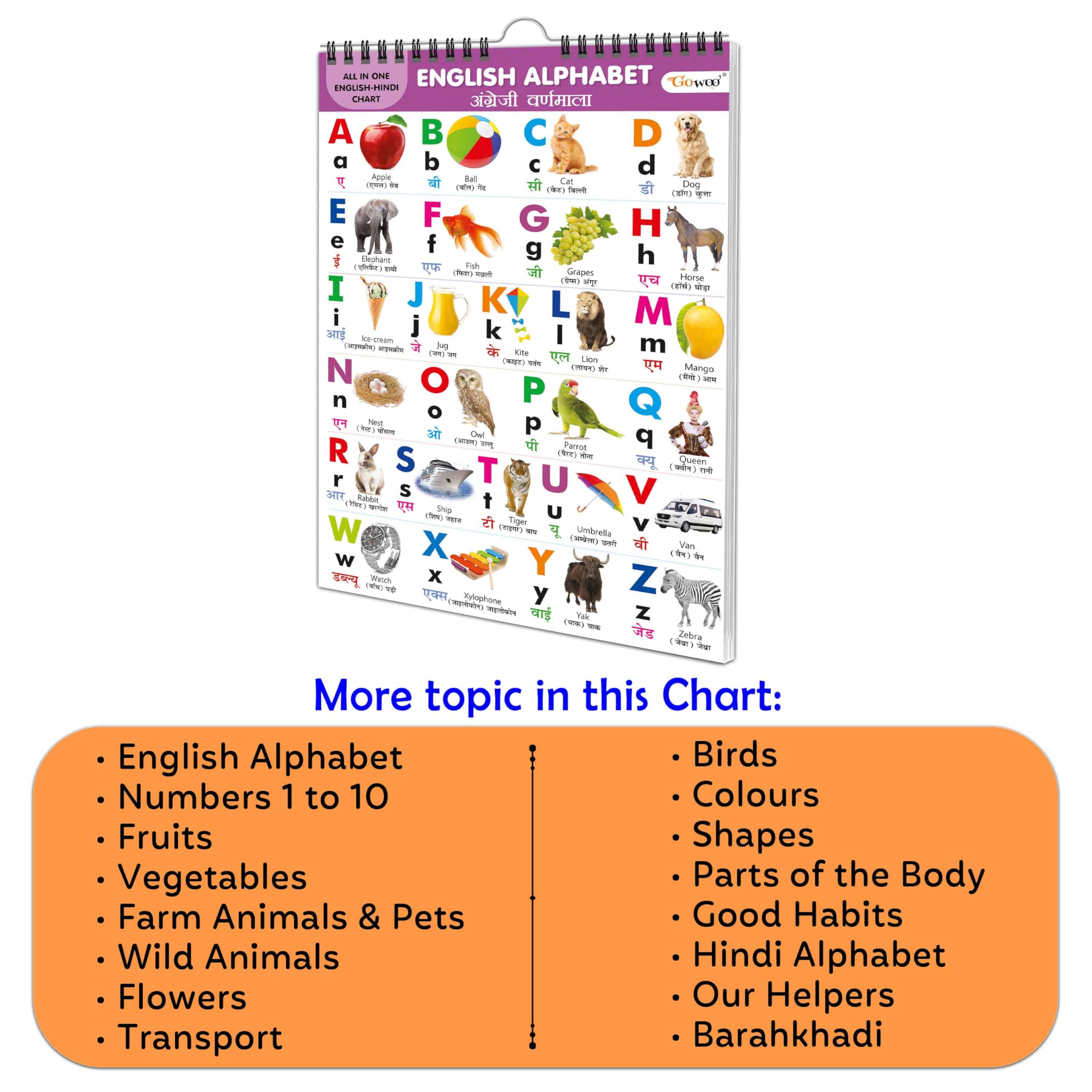 Chart Book Collections For Early Learning : Kids Learning Chart Book, All In One Spiral Chart English-Hindi KidS Chart Book Collection With 16 Topics