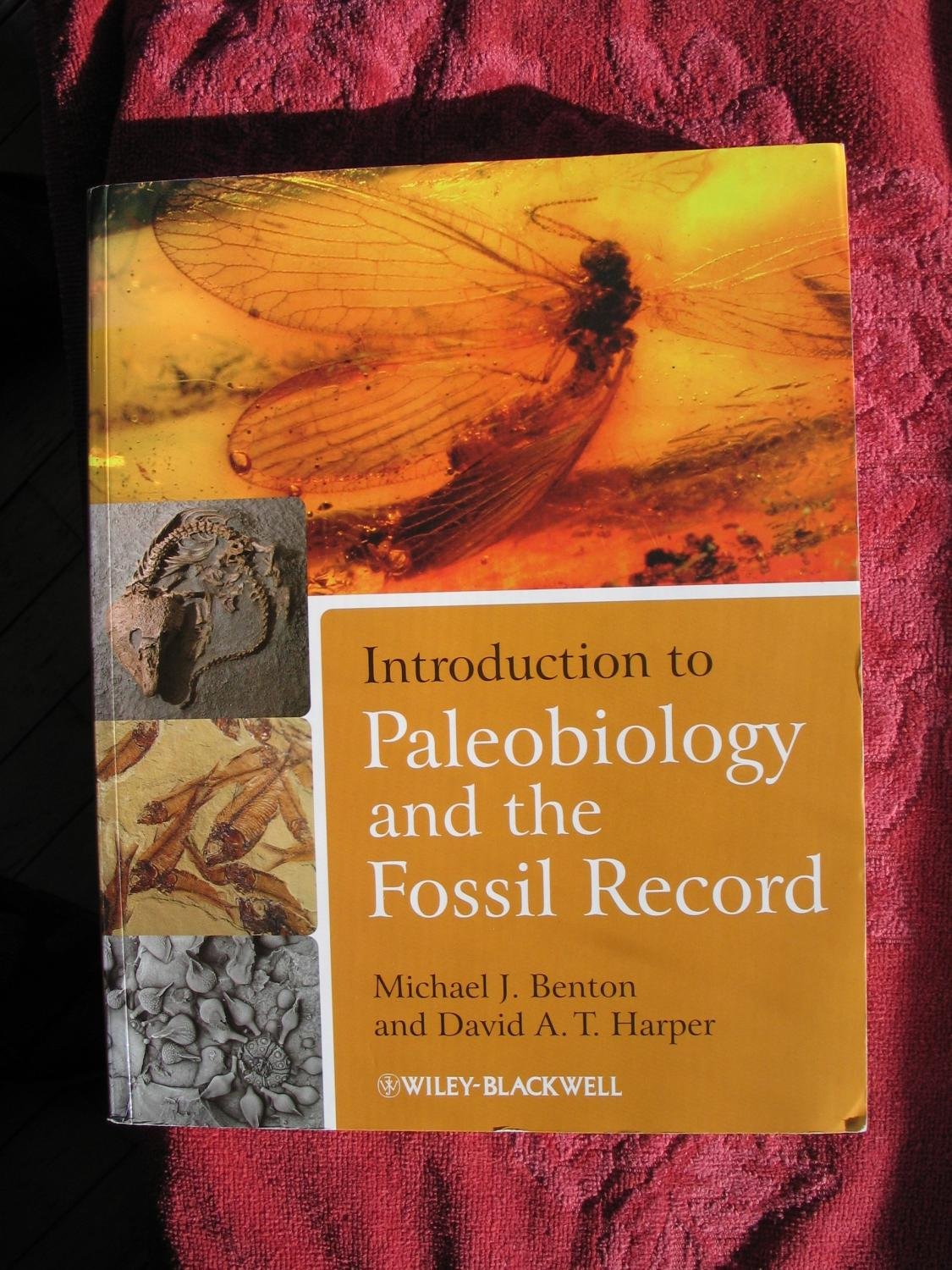 Introduction To Paleobiology And The Fossil Record