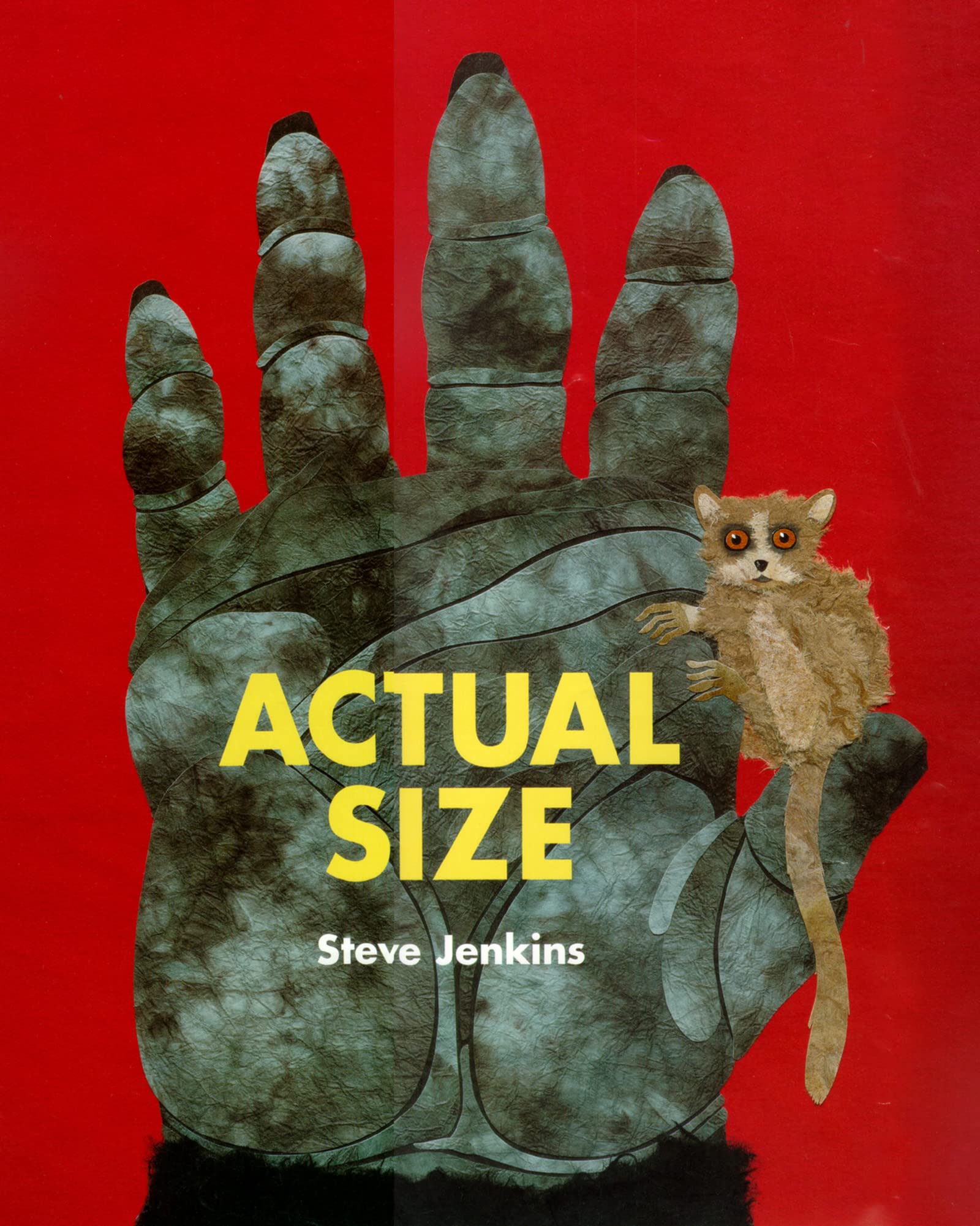 Actual Size,Used