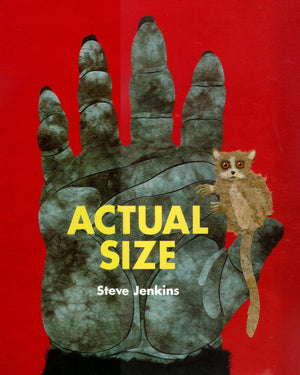 Actual Size,New