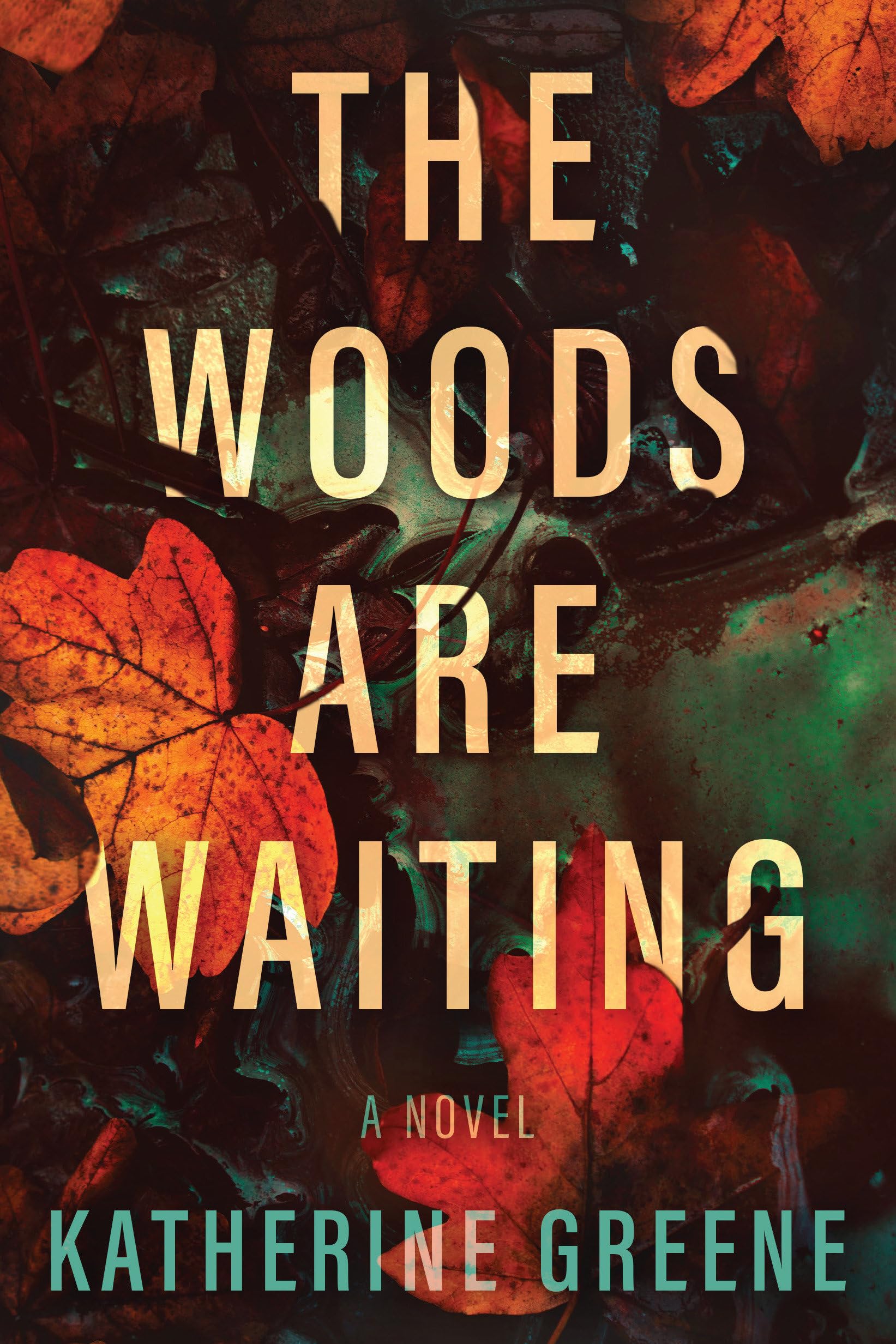 The Woods Are Waiting: A Novel,Used