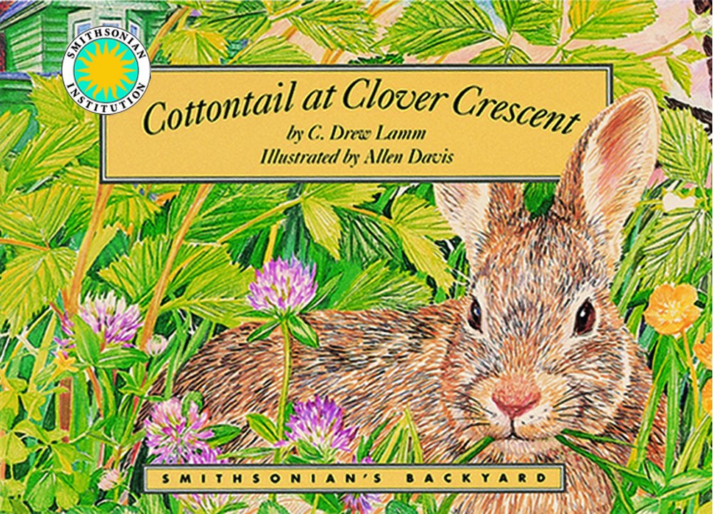 Cottontail At Clover Crescent (Smithsonian Backyard),New