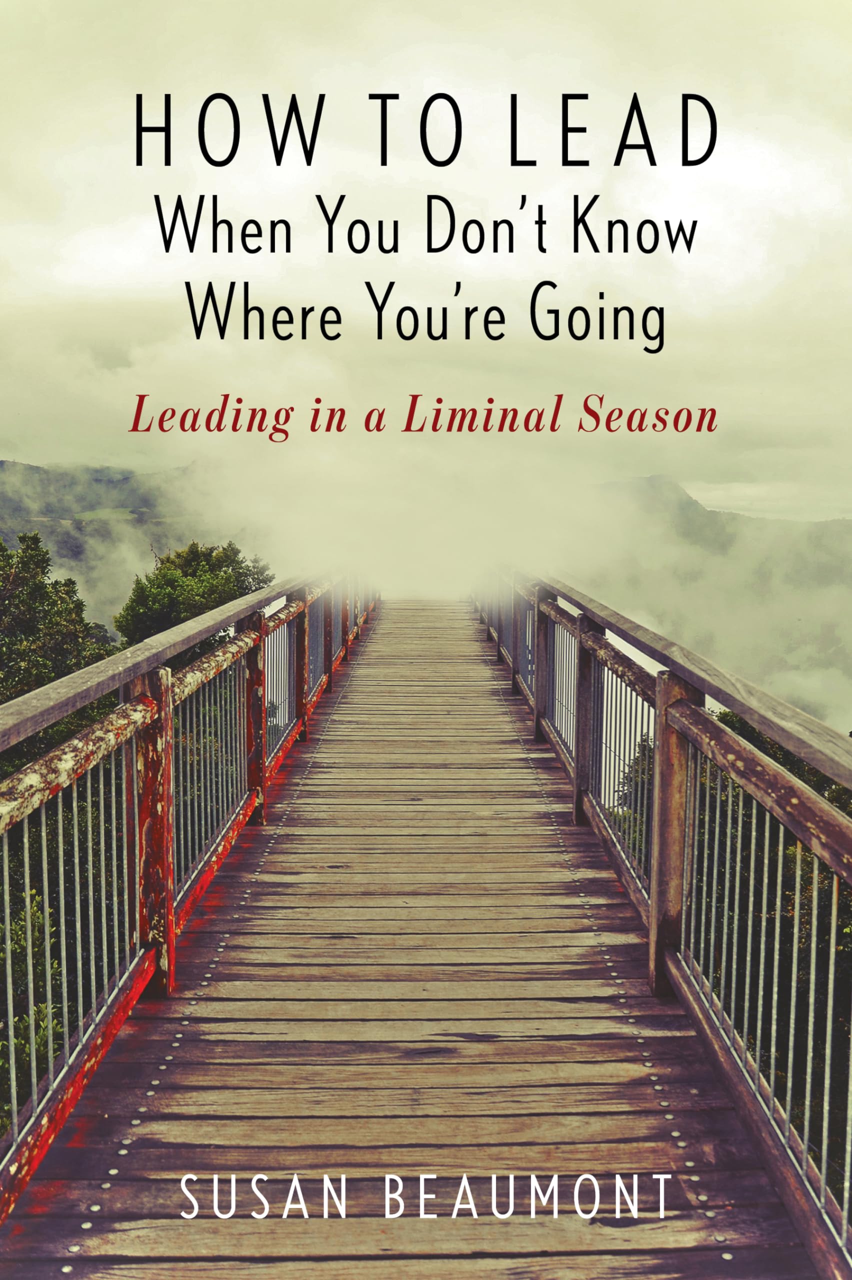 How to Lead When You Don't Know Where You're Going: Leading in a Liminal Season,New