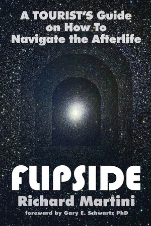 Flipside: A Tourist's Guide on How to Navigate the Afterlife,Used