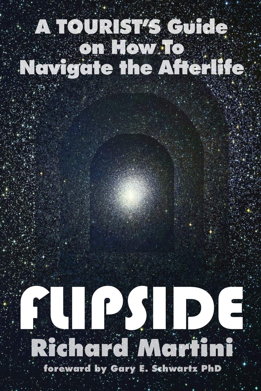 Flipside: A Tourist's Guide on How to Navigate the Afterlife,Used