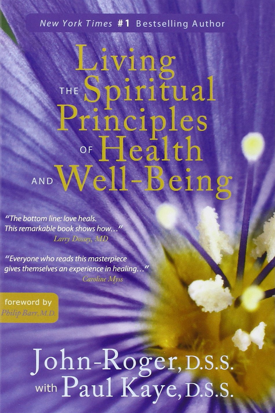 Living The Spiritual Principles Of Health And Wellbeing,Used