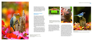 Mastering Bird Photography: The Art, Craft, and Technique of Photographing Birds and Their Behavior,Used