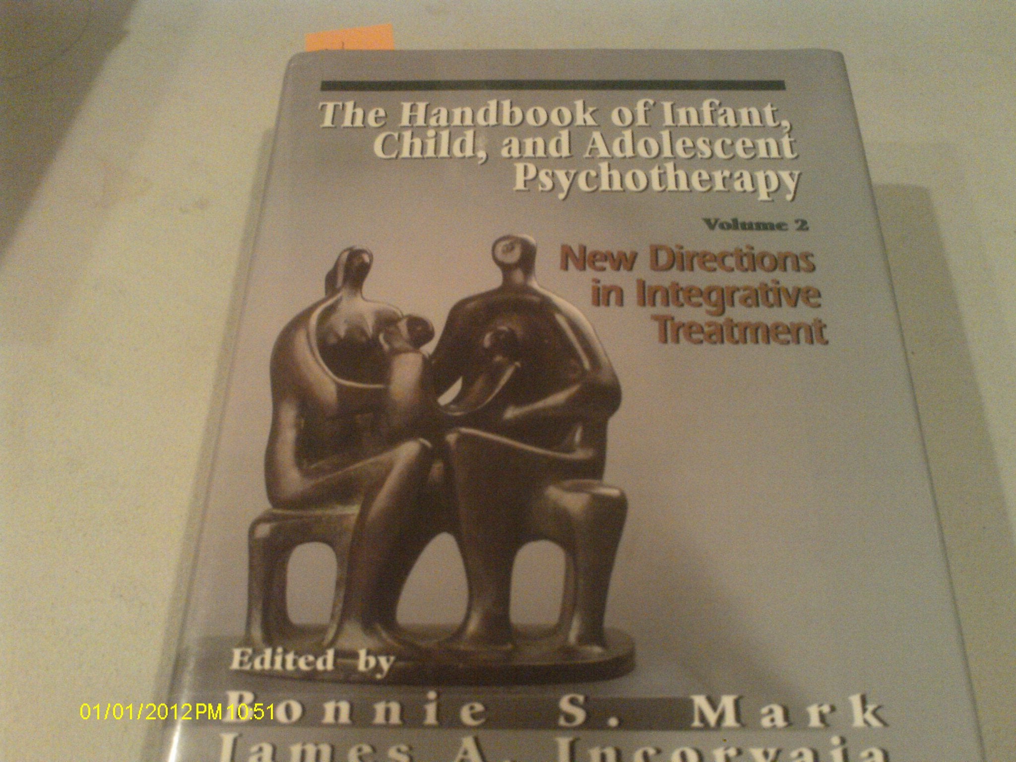 The Handbook of Infant, Child, and Adolescent Psychotherapy: New Directions in Integrative Treatment, Vol. 2,Used
