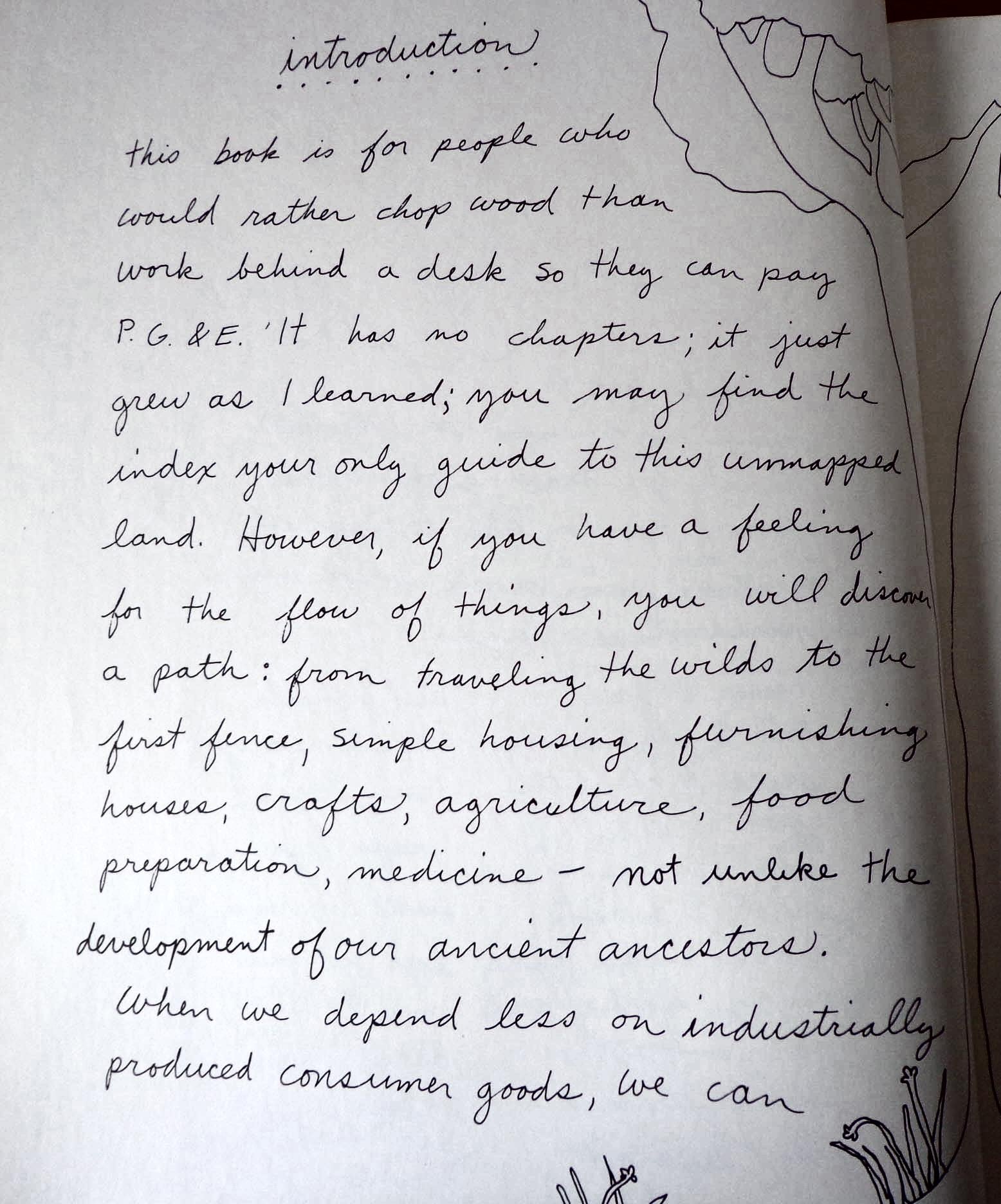 Living On The Earth: Celebrations, Storm Warnings, Formulas, Recipes, Rumors, And Country Dances Harvested By Alicia Bay Laurel.,Used