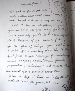Living On The Earth: Celebrations, Storm Warnings, Formulas, Recipes, Rumors, And Country Dances Harvested By Alicia Bay Laurel.,Used