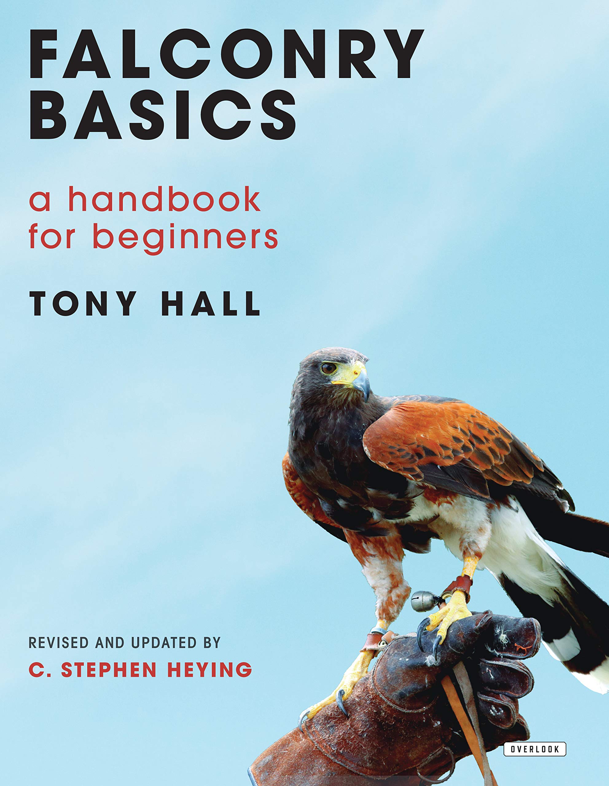 Falconry Basics: A Handbook For Beginners