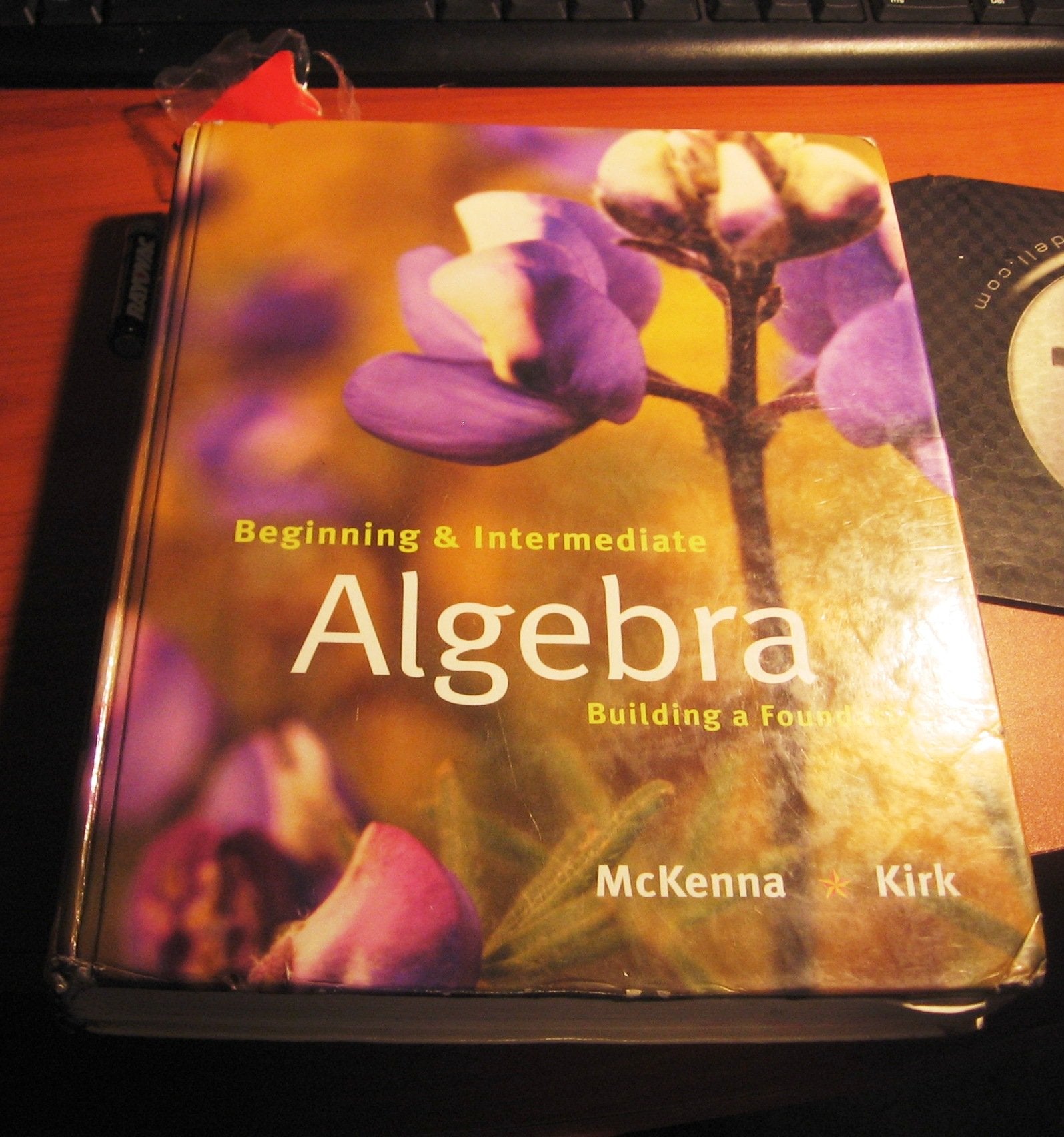 Beginning and Intermediate Algebra: Building a Foundation,Used