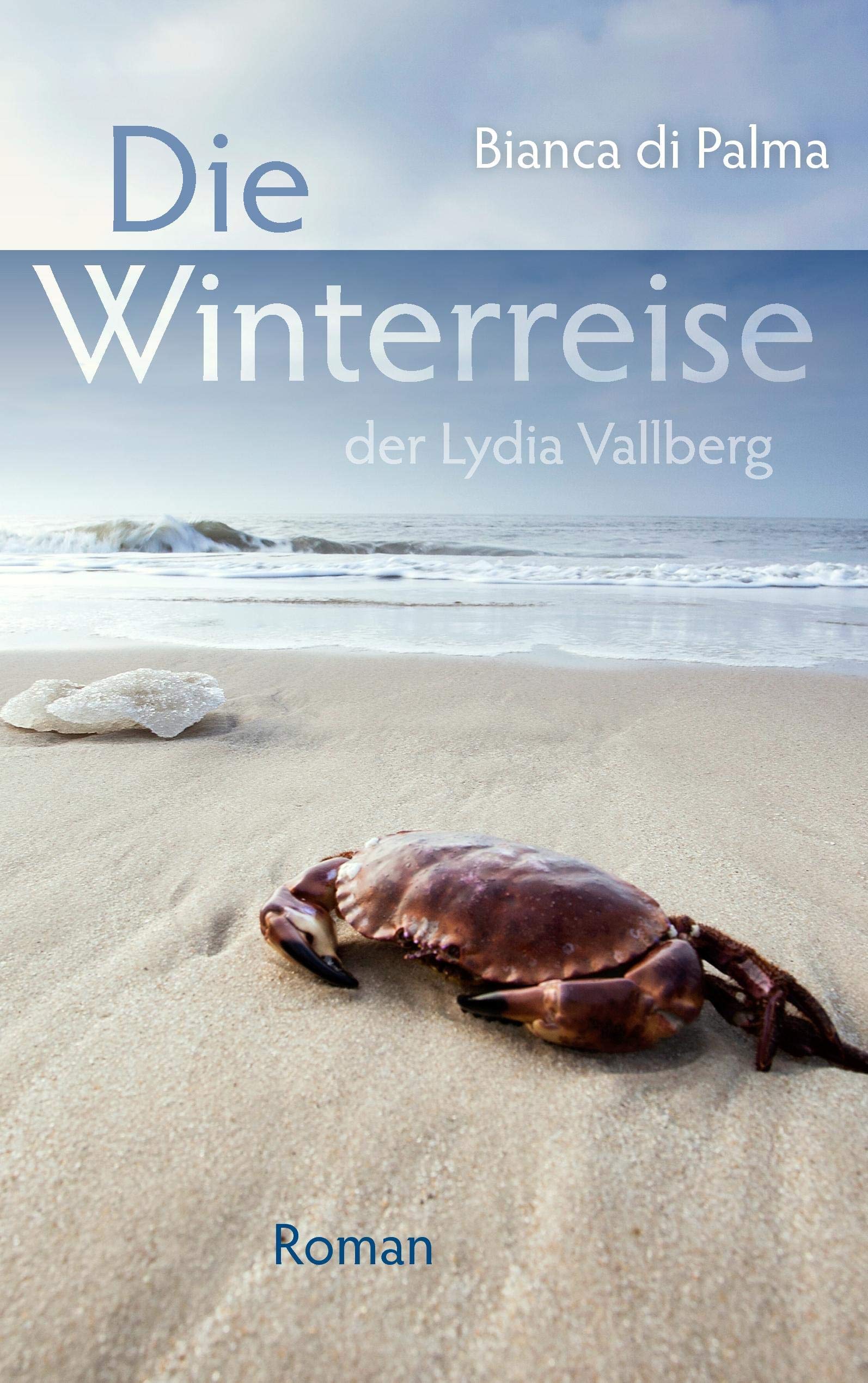 Die Winterreise der Lydia Vallberg: Roman (German Edition),Used