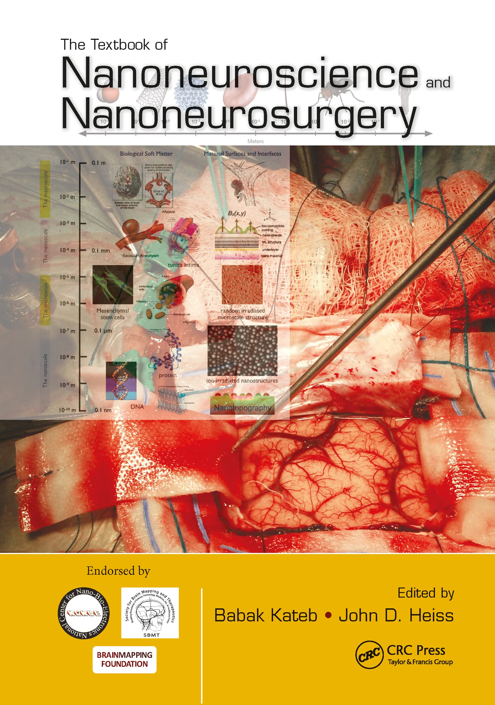 The Textbook of Nanoneuroscience and Nanoneurosurgery,Used