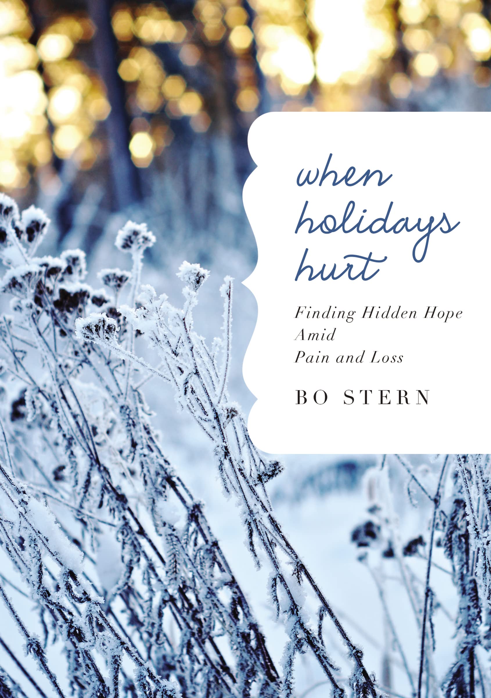 When Holidays Hurt: Finding Hidden Hope Amid Pain And Loss,Used