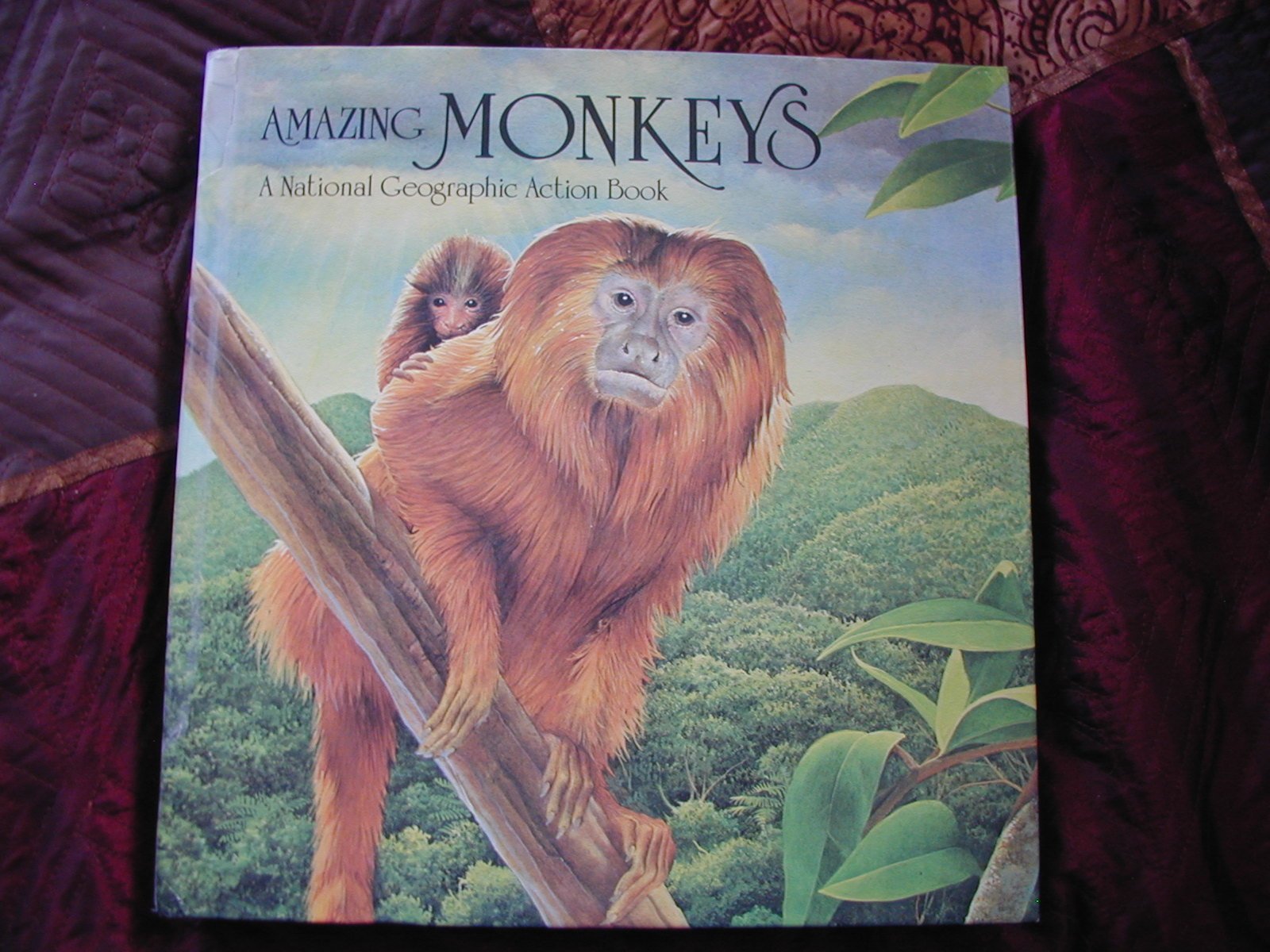 PopUp: Amazing Monkeys,Used