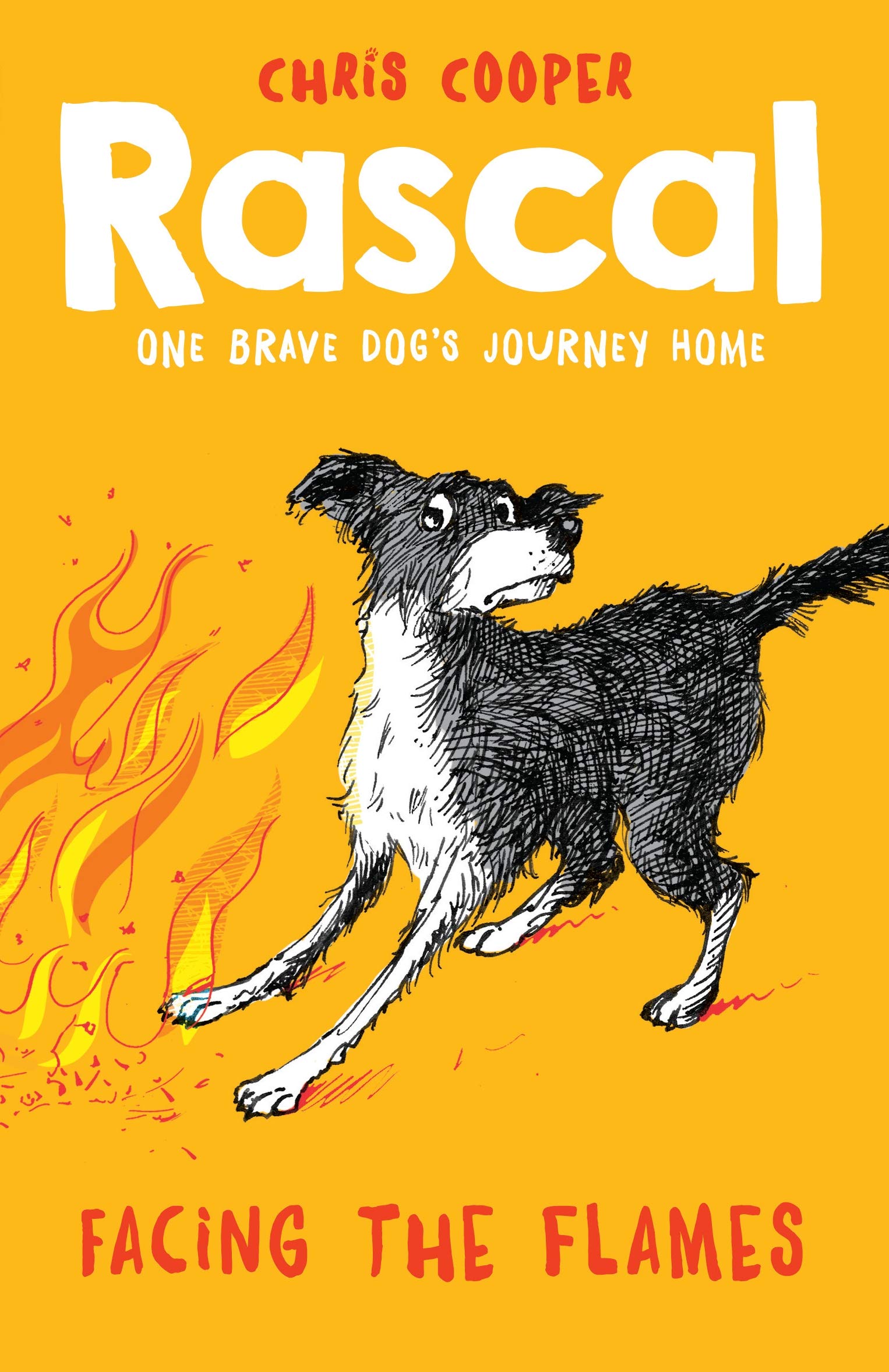 Rascal: Facing the Flames,Used