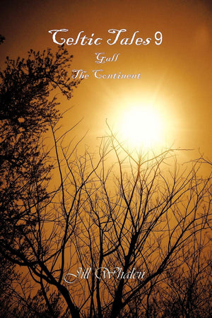 Celtic Tales 9, Gall, the Continent,Used