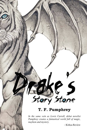 Drake'S Story Stone,Used