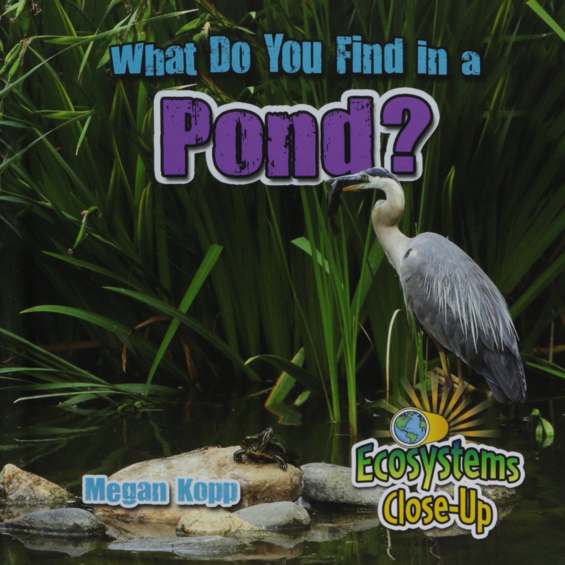 What Do You Find in a Pond? (Ecosystems CloseUp),Used