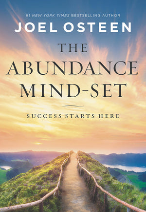 The Abundance MindSet: Success Starts Here,Used