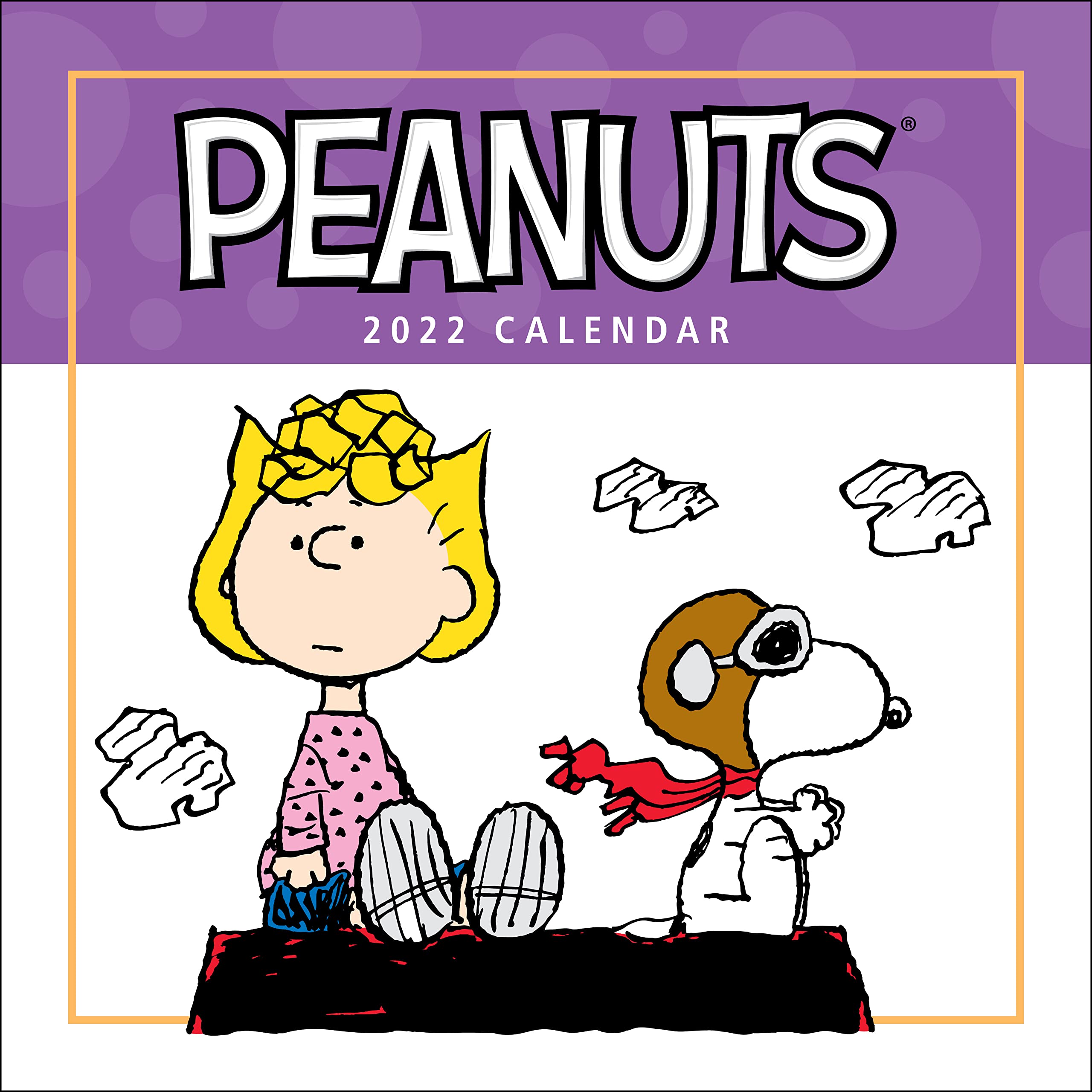 Peanuts 2022 Wall Calendar,Used