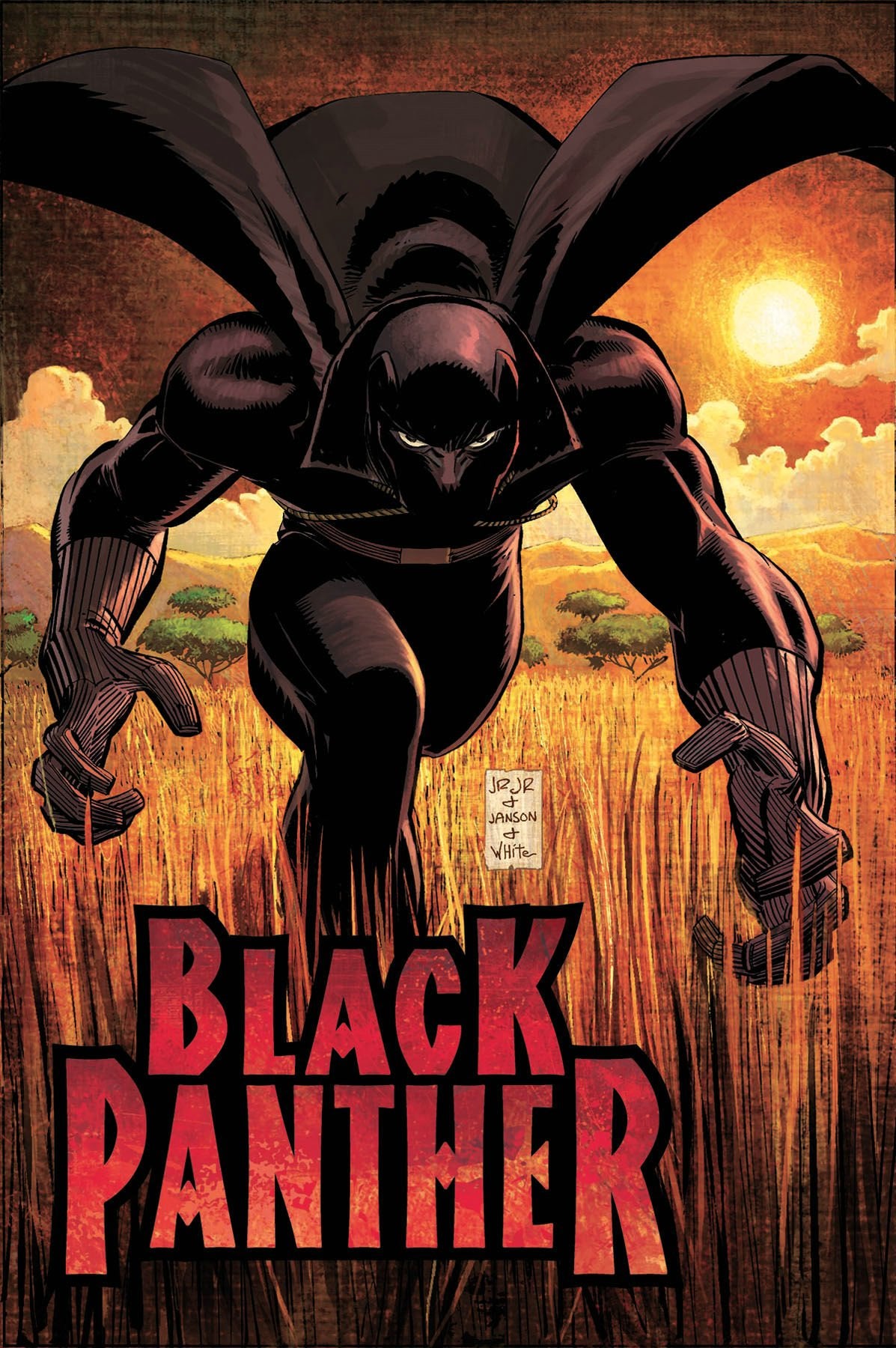 Black Panther: Who Is The Black Panther HC,Used