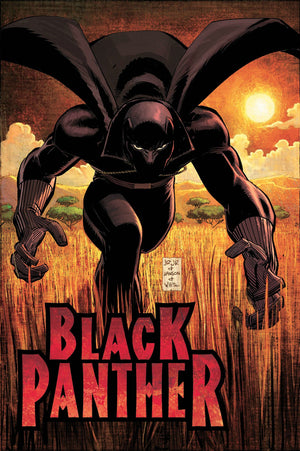 Black Panther: Who Is The Black Panther HC,Used