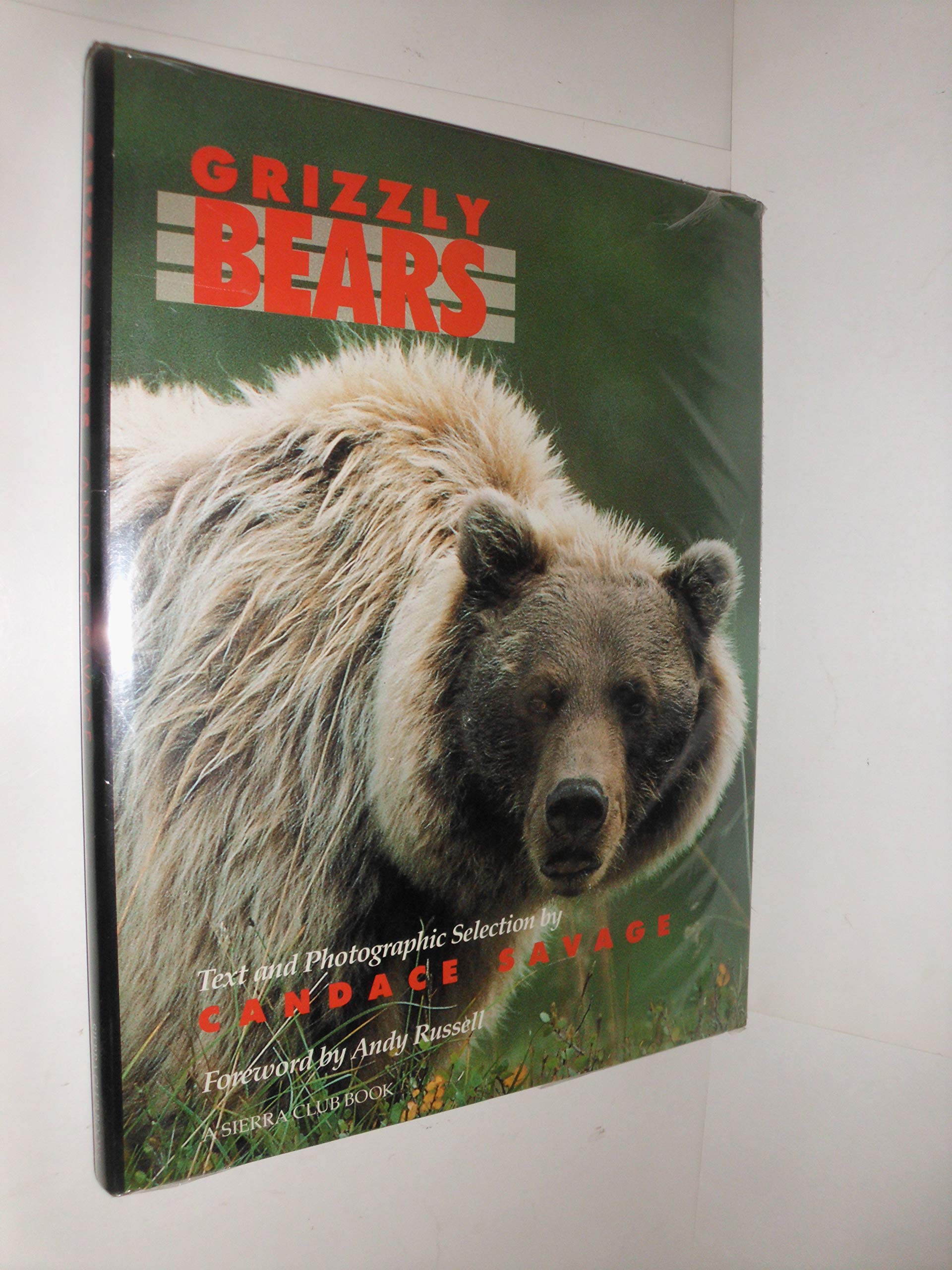 Grizzly Bears,Used