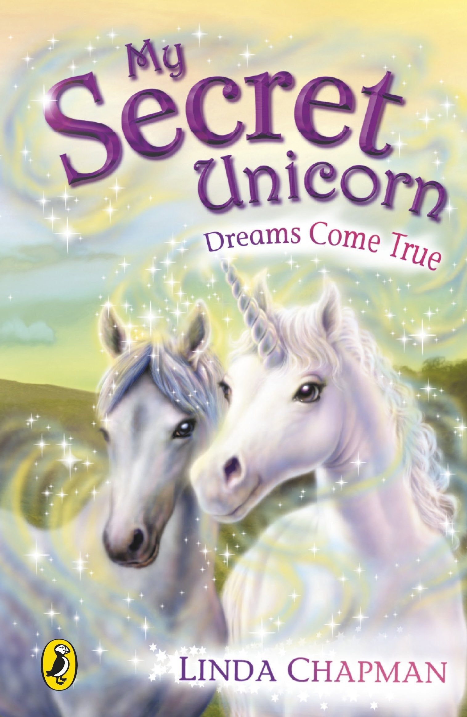 Dreams Come True. Linda Chapman,Used