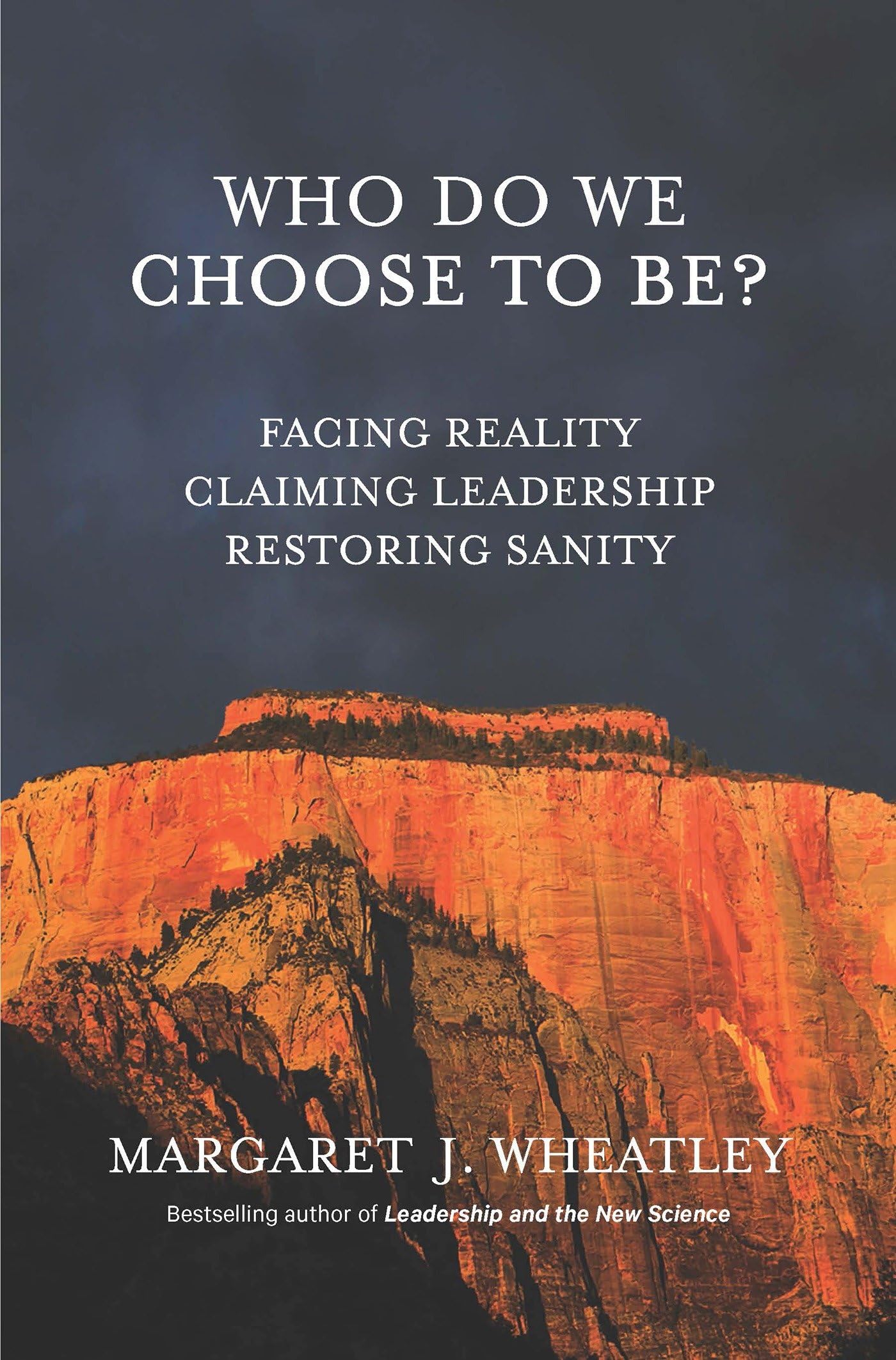 Who Do We Choose To Be?: Facing Reality, Claiming Leadership, Restoring Sanity,Used