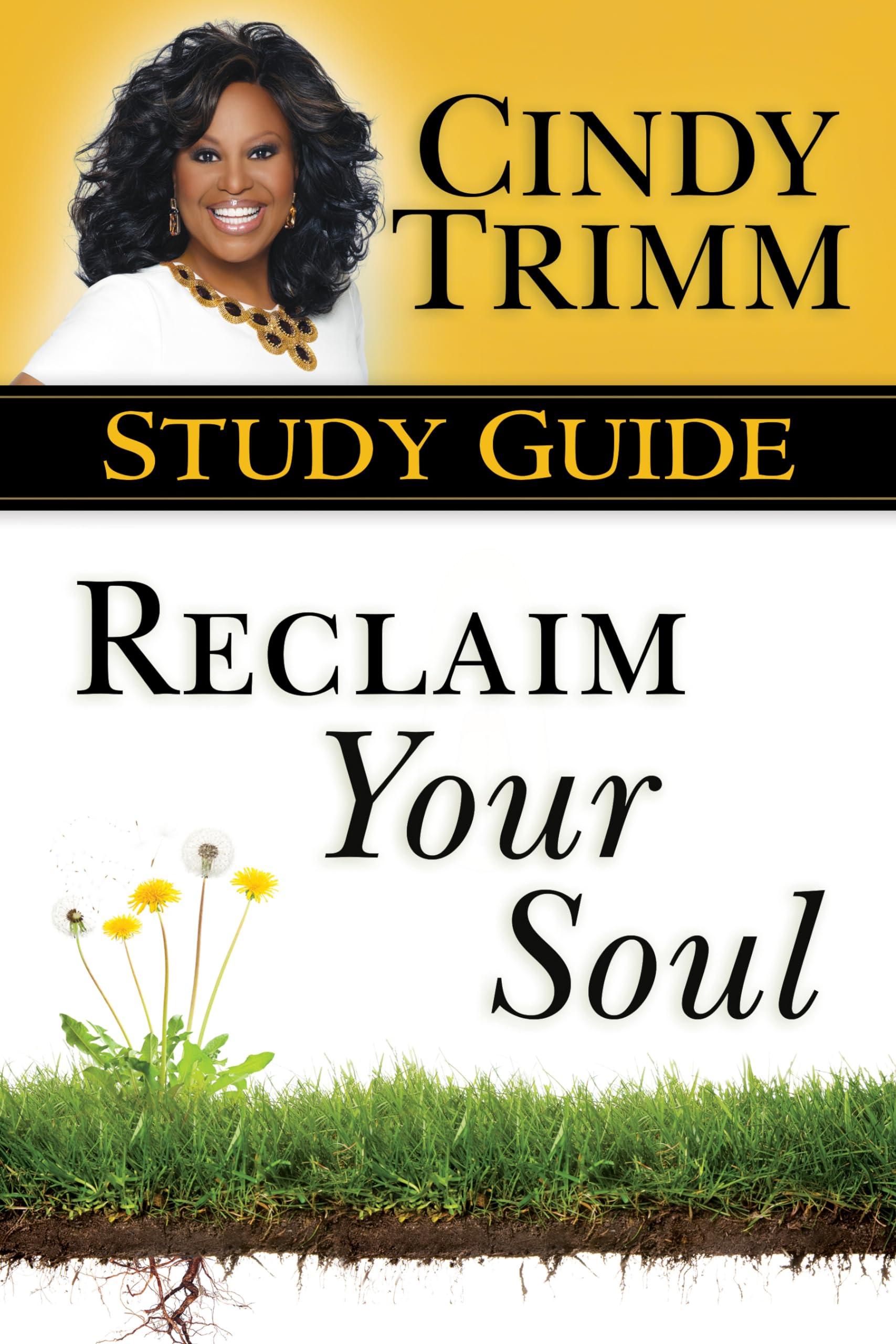Reclaim Your Soul Study Guide,Used