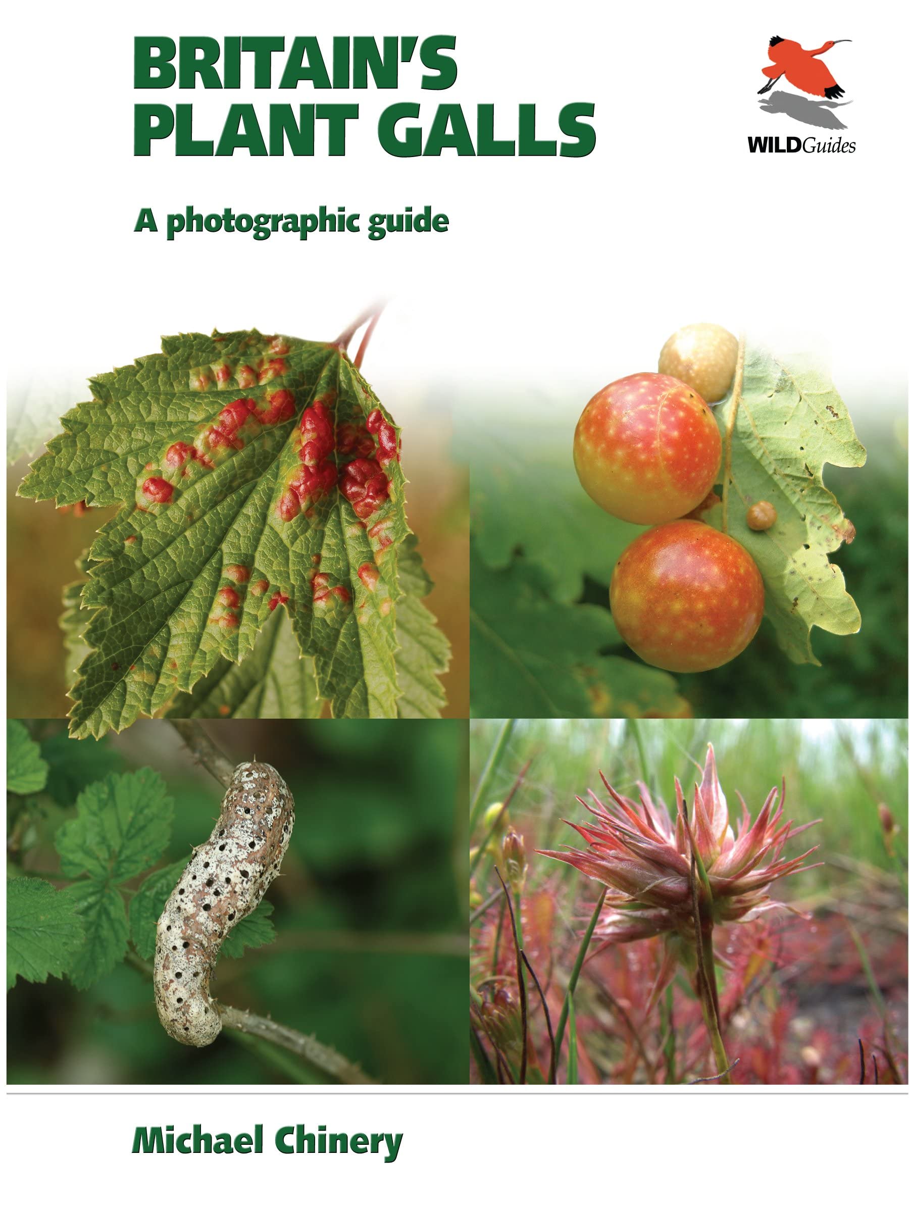 Britain's Plant Galls: A Photographic Guide (WILDGuides of Britain & Europe, 7),Used