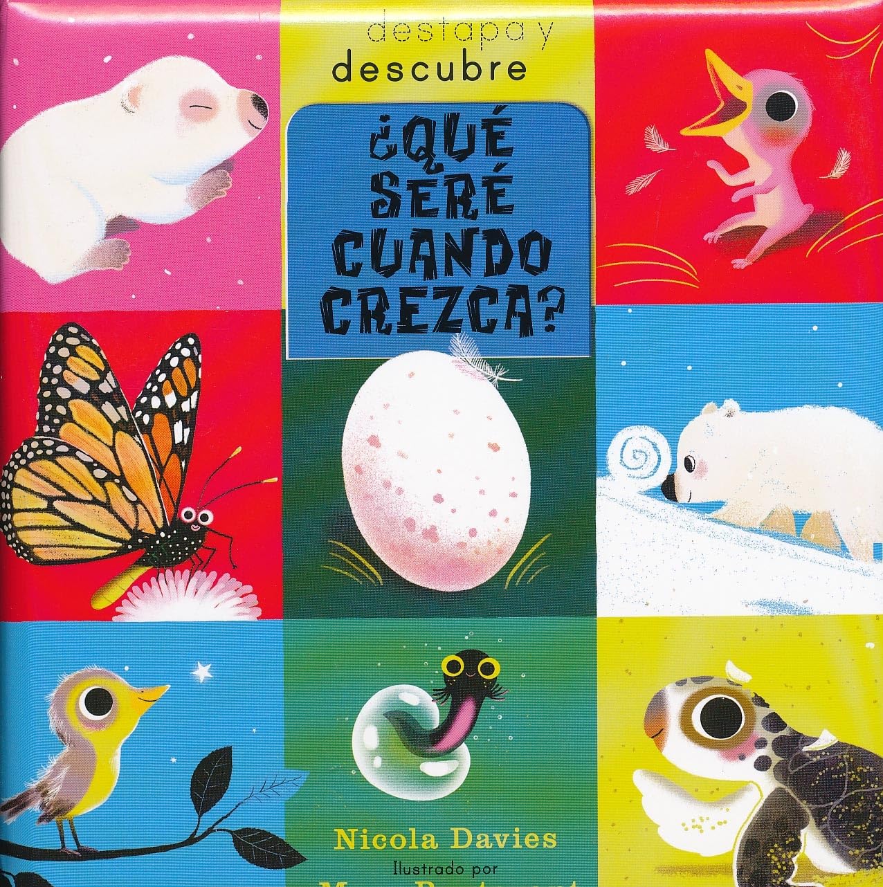 Que Sere Cuando Crezca? (Spanish Edition),Used